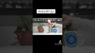 مزيل المكياج  بلحظه وبمواد سهله مع انتصار في كروب الاعشاب ?