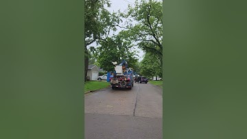 New Utility Poles & Tree Trimming