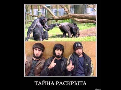 русь святая картинки
