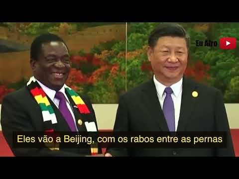 the awekeness of  African continent  by professor  lumumber