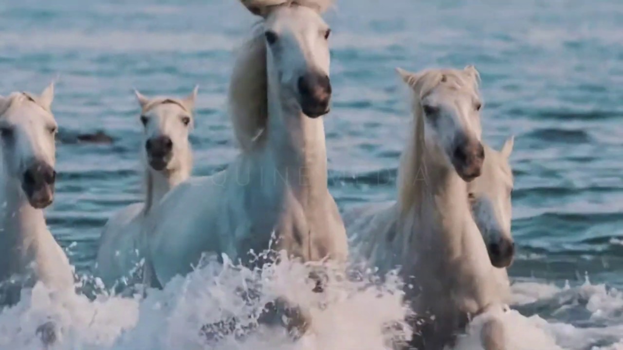 If the World was Ending Wild horse music video YouTube