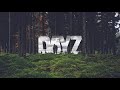 Dayz