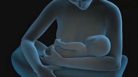 Hướng dẫn cách cho trẻ sơ sinh bú mẹ năm 2024
