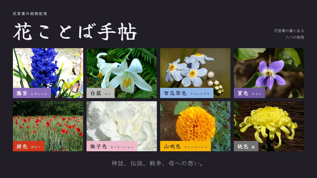【睡眠導入】知識欲を満たそう第5回【花言葉について】