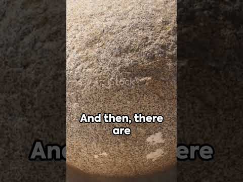 Things They Don’t