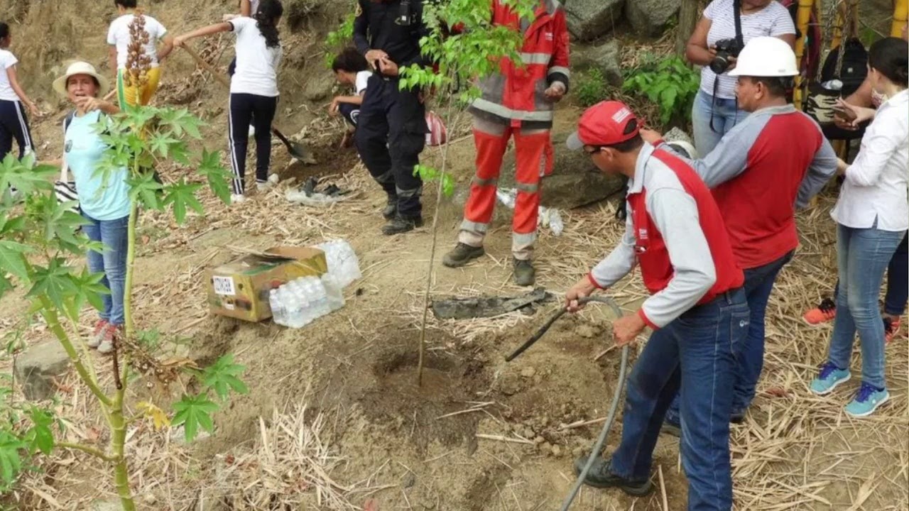 Día Mundial de Lucha contra la Desertificación y la Sequía yDía Nacional de los suelos
