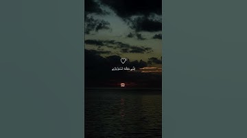 "قال لا تخافا إنني معكما" 🪽🤍|| القارئ شريف مصطفى