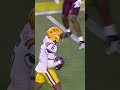 Barion Brown College Highlights | LSU WR | 2026 NFL Draft
