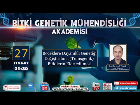 Video: Batı'nın insanlığı öldürdüğü glifosat