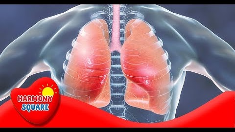 Breathing (or ventilation) - More Science on the Learning Videos Channel