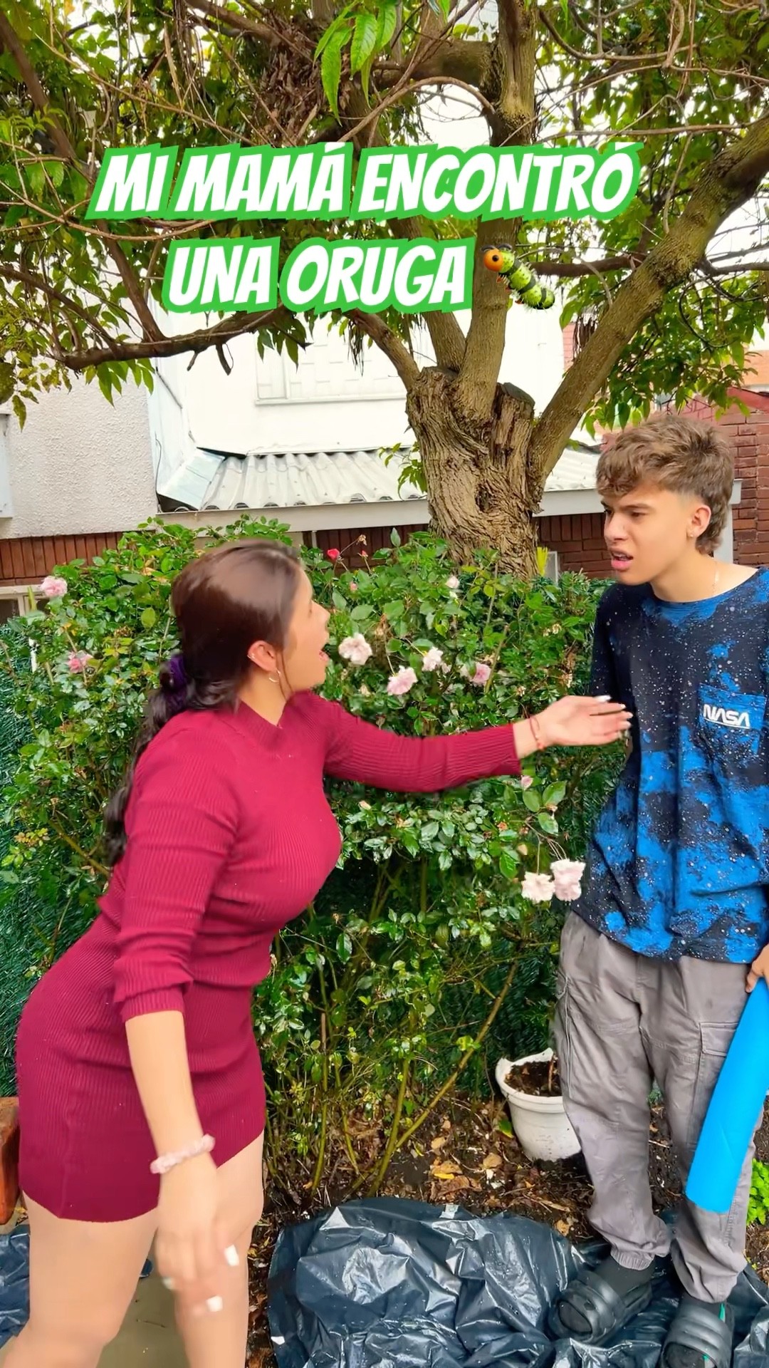 NO ASUSTES A LA ORUGA #humor #cosasdefamilia #comedia #shortviral