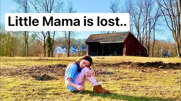 Little Mama is lost..💔  Will we find her?