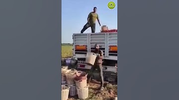 Efficiency Experts in Action – Smartest Ways to Work #motivationalvideo