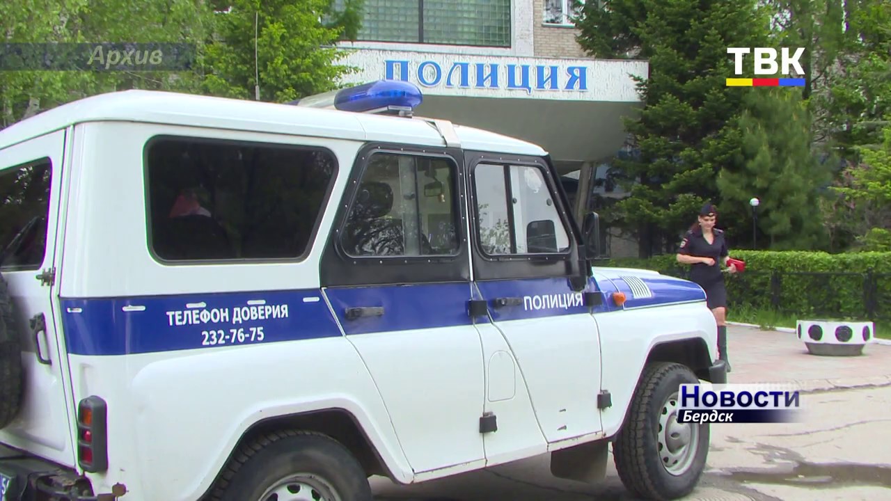 Москитка в машину