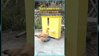 #搞笑#迷因#梗圖#爆笑#幽默#嘲諷#網路文化#流行語#表情包#廢文#反差萌#崩潰#無奈#翻白眼#傻眼#崩壞#CHATGPT#貓咪#狗狗#動物#日常#生活#上班族#deepseek#AI