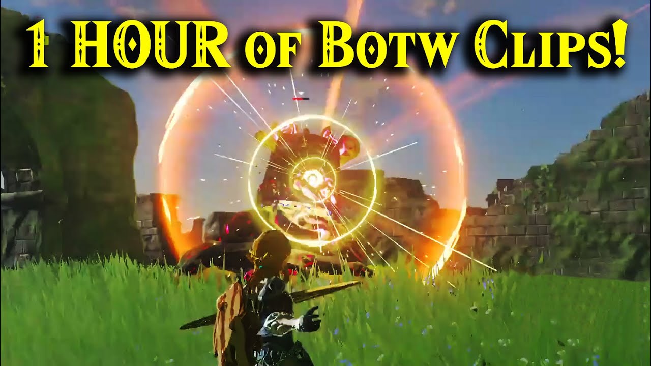 1 Hour of Botw Clips!!!