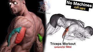 تمارين الترايسبس ونحتها (بدون الات) كمال الاجسام |  Triceps Workout 