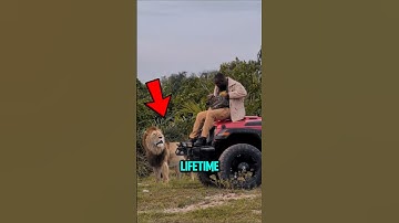 3 Best Places to Experience Wild Animals Up Close 😱