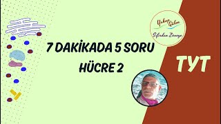 🎯 2026 Tyt Biyoloji Hücre 2 ❓| 🚀 Sıfırdan Zirveye