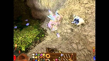 Arx Fatalis, capítulo 4 -El garrapato-