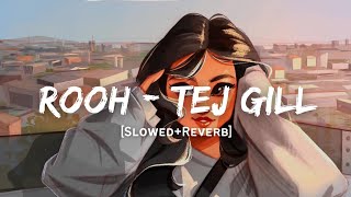 Rooh - Tej Gill Song | Slowed And Reverb Lofi Mix screenshot 5