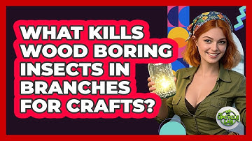 What Kills Wood Boring Insects In Branches For Crafts? - The Upcycle Lab