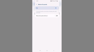 How to Mute All Sounds on Samsung Galaxy S23, S23 Plus, S23 Ultra #shorts #samsung