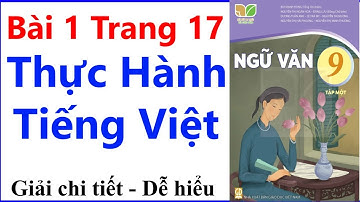 Ngữ Văn 9 Bài 1 Trang 17 | Thực Hành Tiếng Việt | Kết Nối Tri Thức