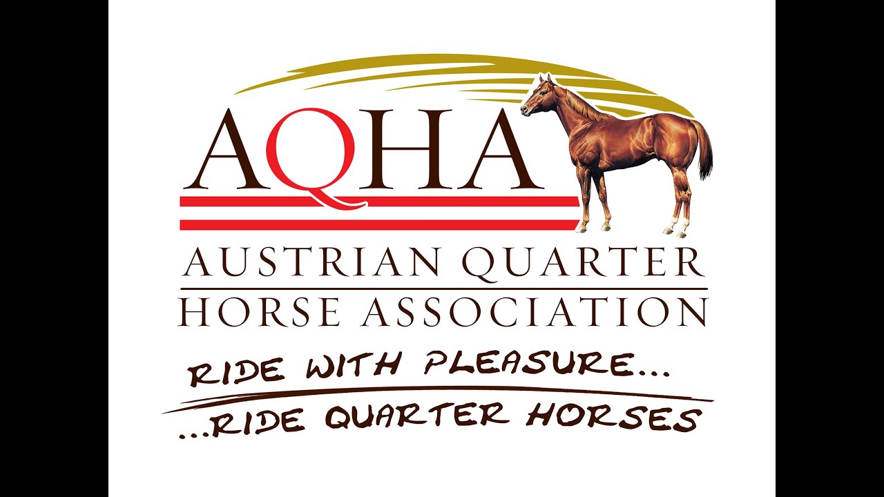 american-quarter-horse-association-the-complete-guide-todays-equine