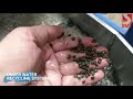 Underwater Pelletizing System