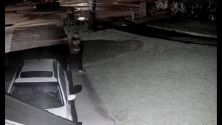 Vehicle Burglary Suspect- Gulf Breeze - Tiger Point Florida