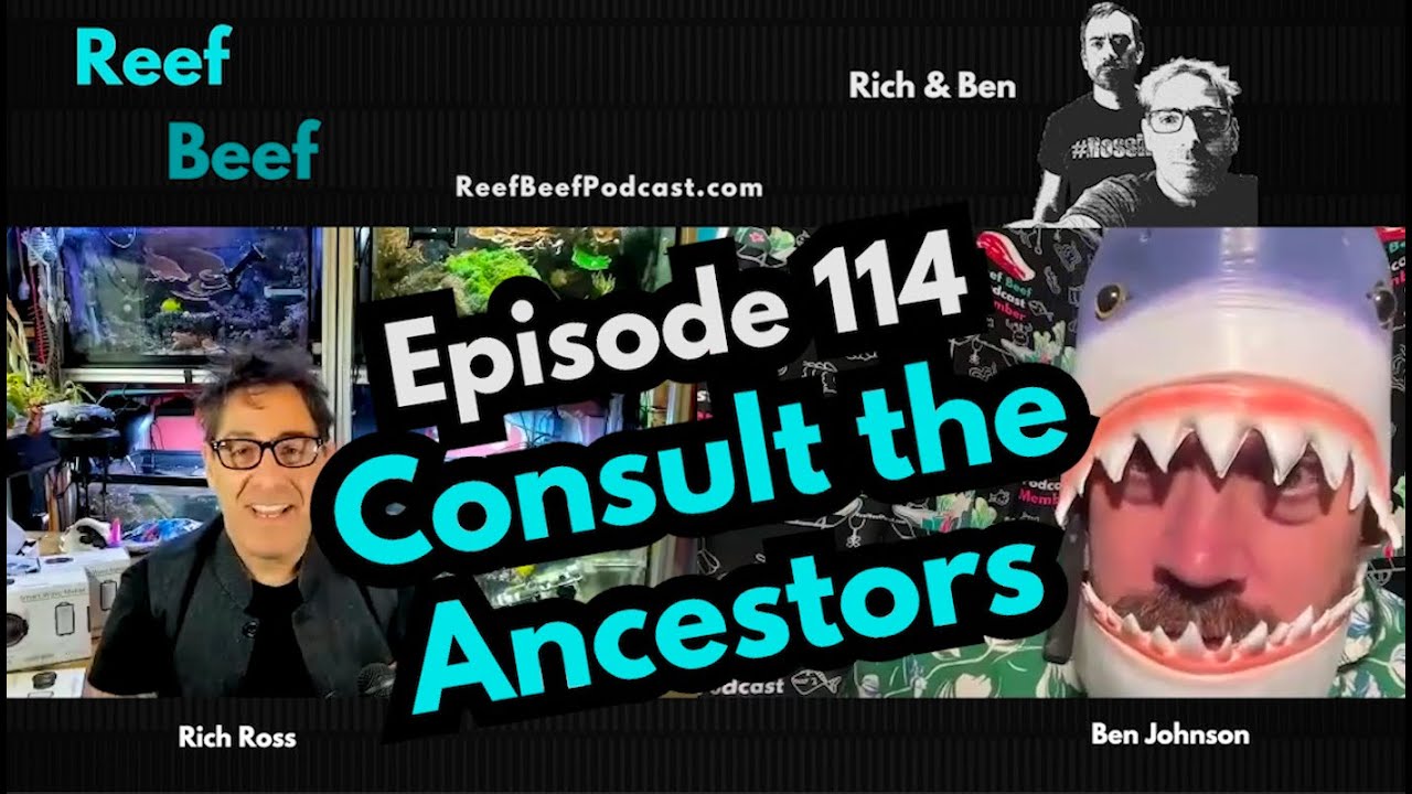 Consult the Ancestors - Episode 114 - Reef Beef Podcast.
In this episode we talk Aquabiomics, new Neptune controllers, and nutrient controls.

Thank you to our sponsors:
Saltwater Aquarium: https://tinyurl.com/RBSaltwaterAquarium
Saltwater Aquarium Wholesale: https://tinyurl.com/SWAWholesale
PolypLab: https://www.polyplab.com/
Champion Lighting: https://www.championlighting.com/
Champion Lighting Wholesale: https://www.championlightingdealer.com/

Links:
Merch is now available! https://reefbeefpodcast.com/merch/
Join our Discord: https://discord.gg/reefbeef
Get notified of new episodes by receiving an email from Reef Beef! https://reefbeefpodcast.com/notify/
Get our help / advice: https://reefbeefpodcast.com/consult/
Buy Reef Beef a Beer! https://reefbeefpodcast.com
Become a Member: https://reefbeefpodcast.com/membership

Time Stamps
00:00:00 Intro
00:05:09 SPONSOR: SaltwaterAquarium.com
00:06:31 Ben keeps it short
00:23:46 SPONSOR: Champion Lighting
00:25:02 Shared BEEF!
00:29:59 Rich’s Beef
00:48:04 SPONSOR: PolypLab
00:49:17 Nutrient Controls
00:57:01 People do too much
01:03:40 Local Solar Groups
01:13:25 Wrap Up
01:15:48 Bloopers


#ReefBeef #Aquabiomics #NeptuneApex