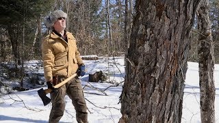 Felling a Huge Maple Tree with an Axe, Milling Lumber with Granberg Alaskan Chainsaw Mill, Husqvarna