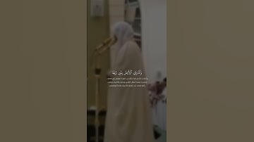 سورة الزمر - القارئ سعد الداوود