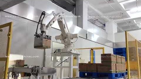 Carton box robot hand picking up sorting palletizing machine palletizer