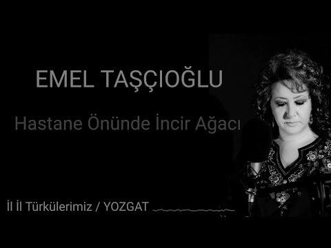 Emel Taşçıoğlu - Hastane Önünde İncir Ağacı