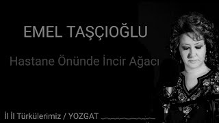 Emel Taşçıoğlu - Hastane Önünde İncir Ağacı Resimi