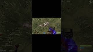 ЗРОБИВ ДЕСАНТ ЗЕМЛЯ ХЛОП'ЯТАМ   #facepunch #rust #falsebannedoffrust #stream #rustislove