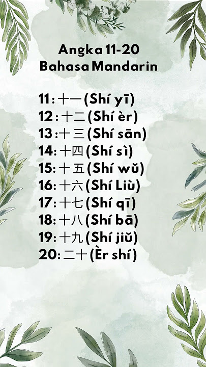 Belajar Bahasa Mandarin Angka 11-20 #edukasi #belajarbahasamandarin #bahasa #trending #shorts