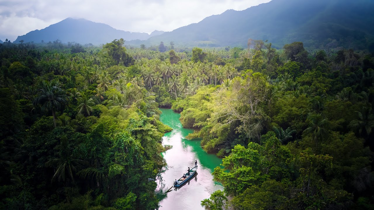 Exploring JUNGLE River for Spottail Bass – Indonesia Ep. 11