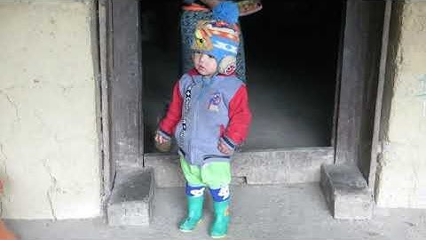 Đi bản mông săn lùng chó H