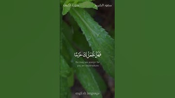 قالوا يا ذا القرنين إن يأجوج ومأجوج مفسدون في الأرض - #سعود_الشريم -  #سورة_الكهف #حالة_واتس