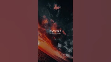 إِنَّا كَفَيْنَاكَ الْمُسْتَهْزِئِينَ-سورة الحجر الآية 95 // بصوت القارئ إسلام صبحي