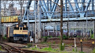 EF65 2083 5086ﾚ 2024.6.15 横浜鶴見