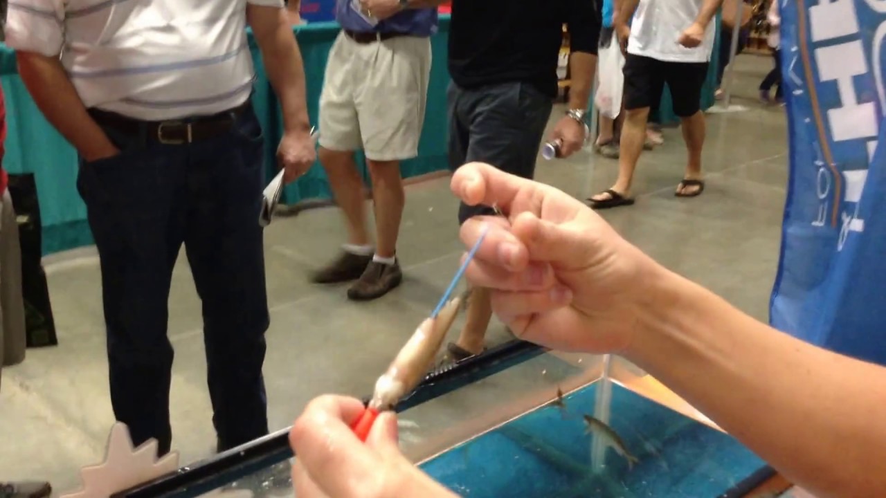 Live Shiner Bait Rig that keeps bait ALIVE!