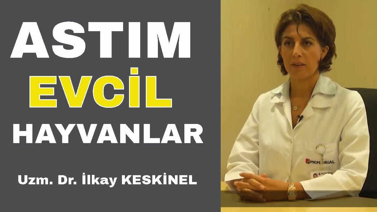 Evcil Hayvanlar Astıma yol açar mı ?