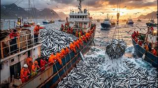 Brief / Intriguing: A close-up look at giant tuna-fishing robot technology in Europe.