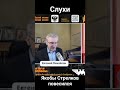 Слухи: Стрелков повесился?