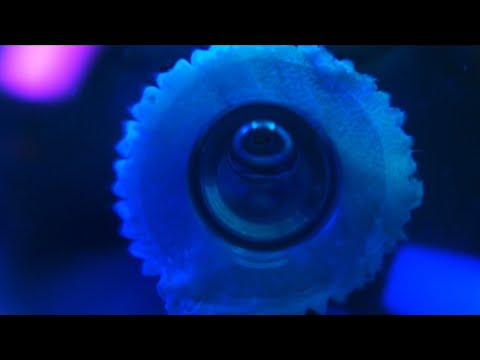 ASMR Thai 💧water globes + mouth sounds