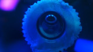 ASMR Thai 💧water globes + mouth sounds